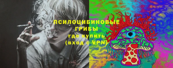 соль курить ск Горнозаводск