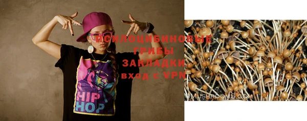 соль курить ск Горняк