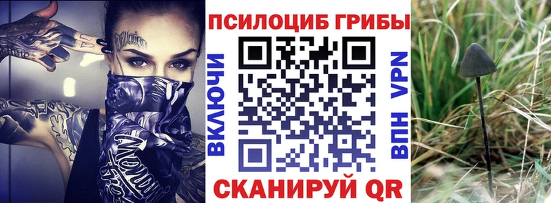 Галлюциногенные грибы прущие грибы  сколько стоит  Опочка 