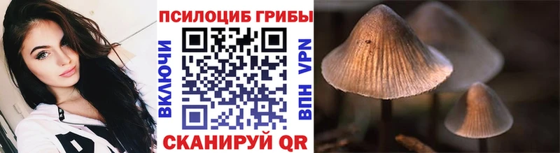 Псилоцибиновые грибы GOLDEN TEACHER Опочка