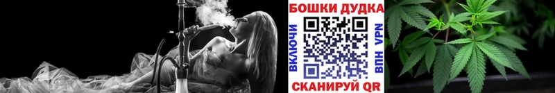Шишки марихуана планчик  Опочка 